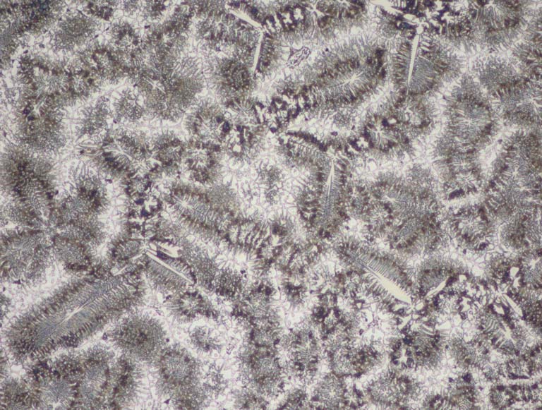 D1509-026482_pt