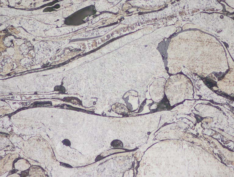 D1509-026483_pt