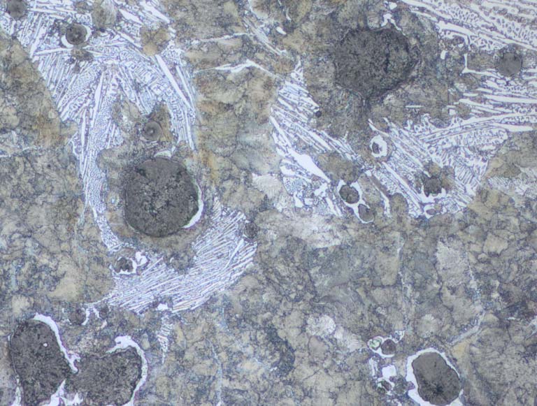 D1509-02648_pt